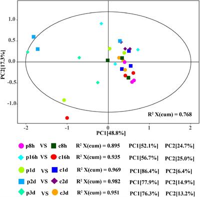 Regulation of amino acid metabolism in Aphis gossypii parasitized by Binodoxys communis